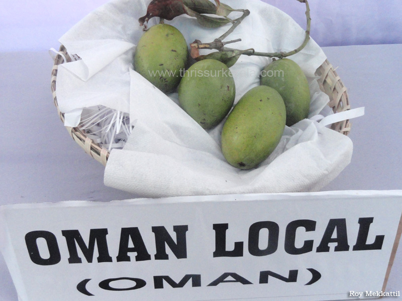 Oman Local